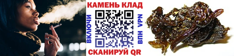 магазин продажи   KRAKEN ССЫЛКА  ГАШ индика сатива  Оленегорск 