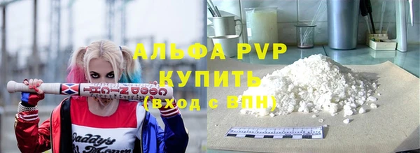 индика Надым