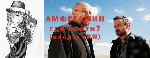 индика Надым