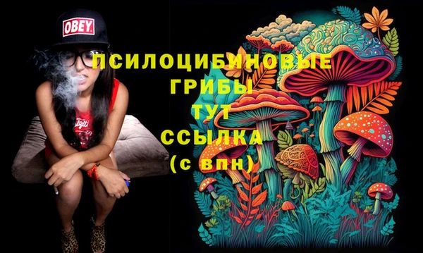 индика Надым
