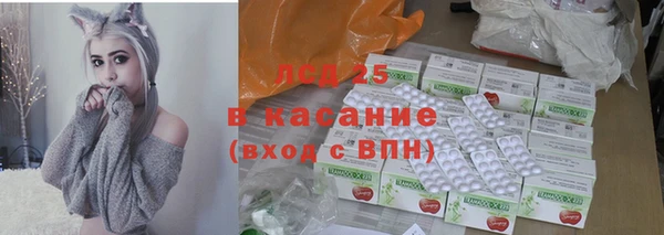 индика Надым