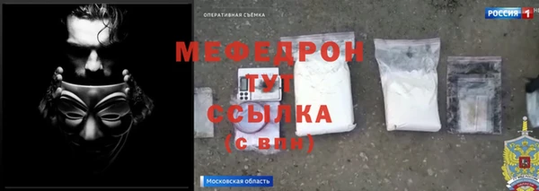 индика Надым