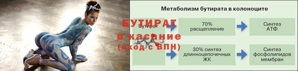индика Надым