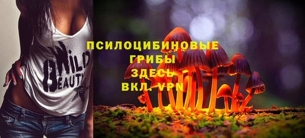 индика Надым