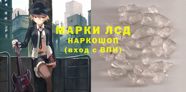 индика Надым