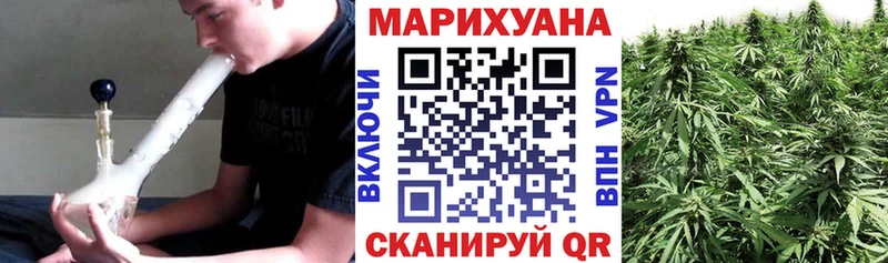 Каннабис семена  наркошоп  Оленегорск 